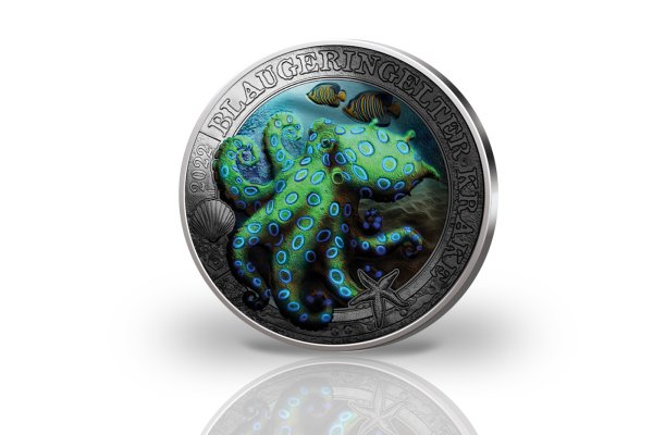 Кракен мониторинг ссылок kraken torion