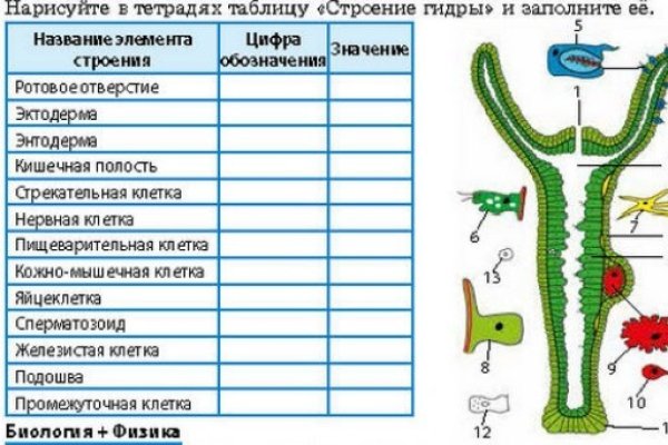 Как зарегистрироваться на сайте кракен